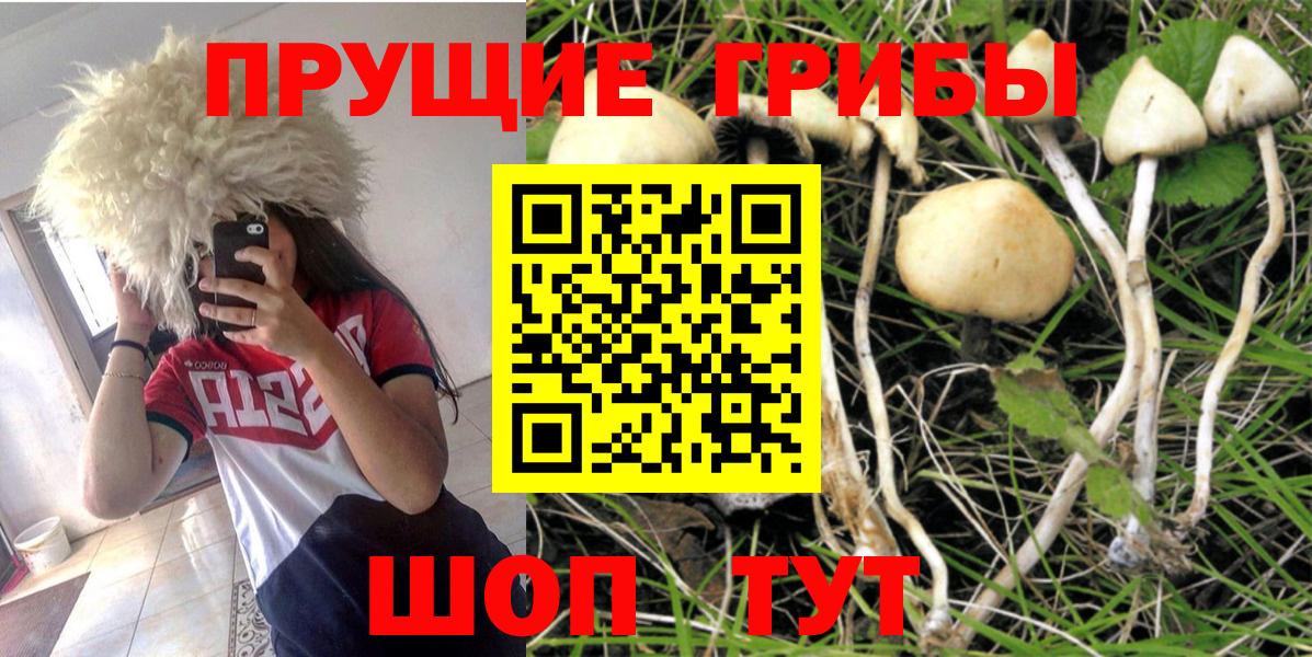Бугульма  Галлюциногенные грибы ЛСД  где можно купить   Вход с VPN 