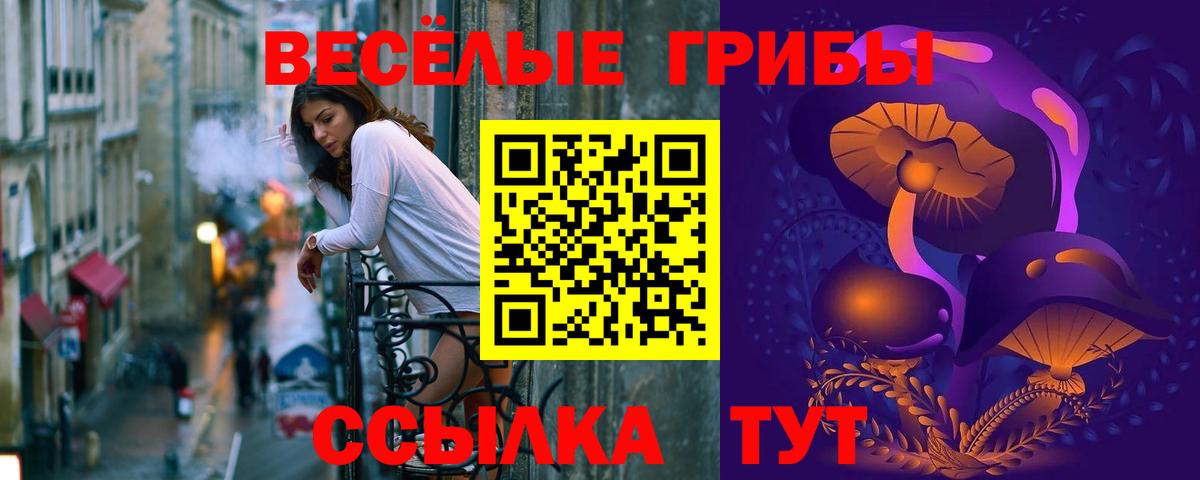 Псилоцибиновые грибы мицелий Бугульма
